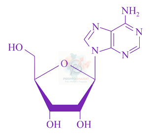 JEE Main 2018 Chemistry, Biomolecules — solution figure