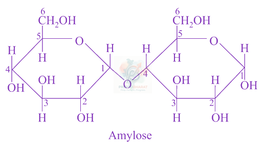 JEE Main 2018 Chemistry, Biomolecules — solution figure