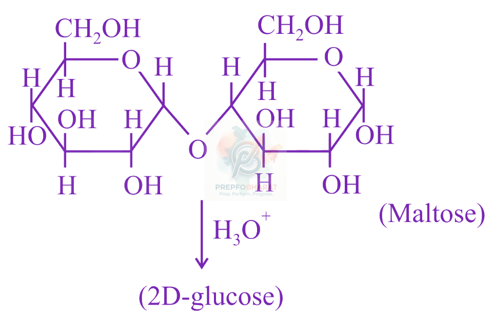 JEE Main 2019 Chemistry, Biomolecules — solution figure