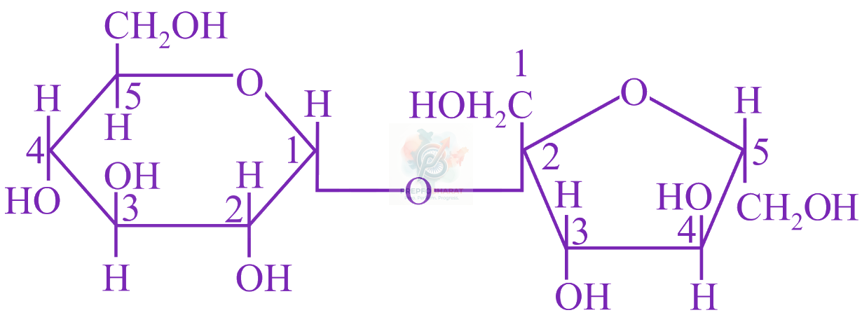 JEE Main 2019 Chemistry, Biomolecules — solution figure