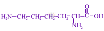 JEE Main 2019 Chemistry, Biomolecules — solution figure 2