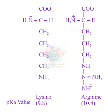 JEE Main 2019 Chemistry, Biomolecules — solution figure 1