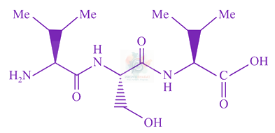 JEE Main 2019 Chemistry, Biomolecules — question figure