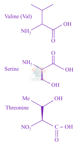JEE Main 2019 Chemistry, Biomolecules — solution figure
