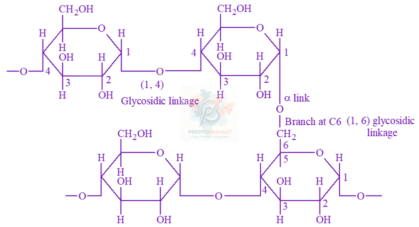 JEE Main 2019 Chemistry, Biomolecules — solution figure