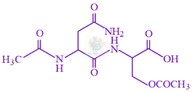 JEE Main 2019 Chemistry, Biomolecules — option A figure