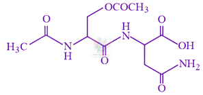 JEE Main 2019 Chemistry, Biomolecules — option C figure