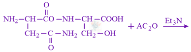 JEE Main 2019 Chemistry, Biomolecules — solution figure 1
