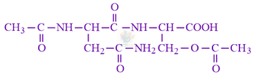 JEE Main 2019 Chemistry, Biomolecules — solution figure 2