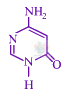 JEE Main 2019 Chemistry, Biomolecules — option A figure