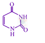 JEE Main 2019 Chemistry, Biomolecules — option B figure