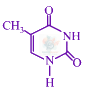 JEE Main 2019 Chemistry, Biomolecules — option C figure