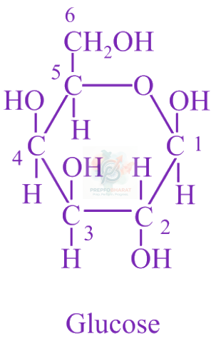 JEE Main 2019 Chemistry, Biomolecules — solution figure 1