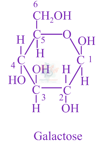 JEE Main 2019 Chemistry, Biomolecules — solution figure 2