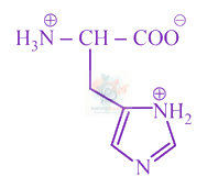 JEE Main 2019 Chemistry, Biomolecules — option A figure