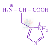 JEE Main 2019 Chemistry, Biomolecules — option B figure