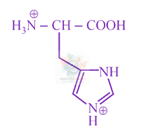 JEE Main 2019 Chemistry, Biomolecules — option C figure