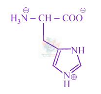 JEE Main 2019 Chemistry, Biomolecules — option D figure
