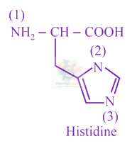 JEE Main 2019 Chemistry, Biomolecules — solution figure
