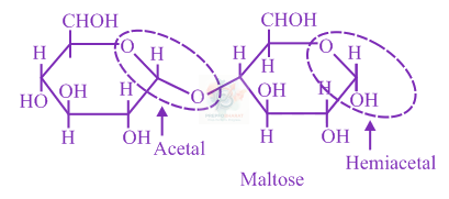 JEE Main 2020 Chemistry, Biomolecules — solution figure
