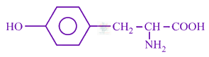 JEE Main 2020 Chemistry, Biomolecules — solution figure