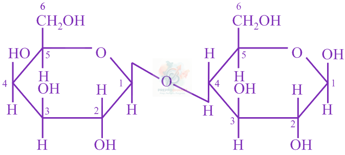 JEE Main 2020 Chemistry, Biomolecules — solution figure