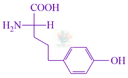 JEE Main 2021 Chemistry, Biomolecules — option A figure