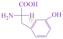 JEE Main 2021 Chemistry, Biomolecules — option B figure