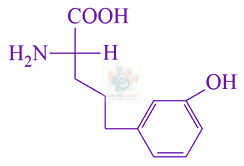 JEE Main 2021 Chemistry, Biomolecules — option C figure