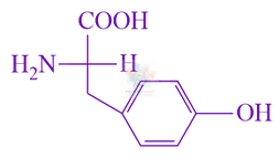 JEE Main 2021 Chemistry, Biomolecules — option D figure