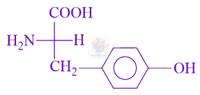 JEE Main 2021 Chemistry, Biomolecules — solution figure