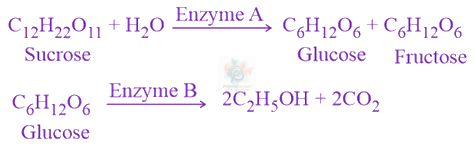 JEE Main 2021 Chemistry, Biomolecules — question figure