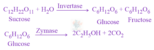 JEE Main 2021 Chemistry, Biomolecules — solution figure