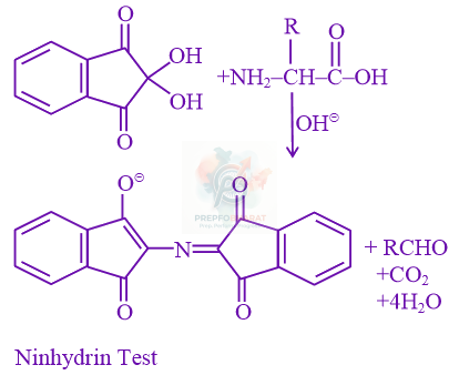 JEE Main 2021 Chemistry, Biomolecules — solution figure