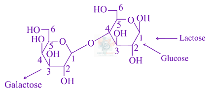 JEE Main 2021 Chemistry, Biomolecules — solution figure