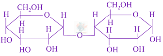 JEE Main 2021 Chemistry, Biomolecules — option D figure