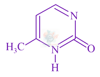 JEE Main 2021 Chemistry, Biomolecules — option A figure