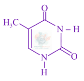 JEE Main 2021 Chemistry, Biomolecules — option B figure