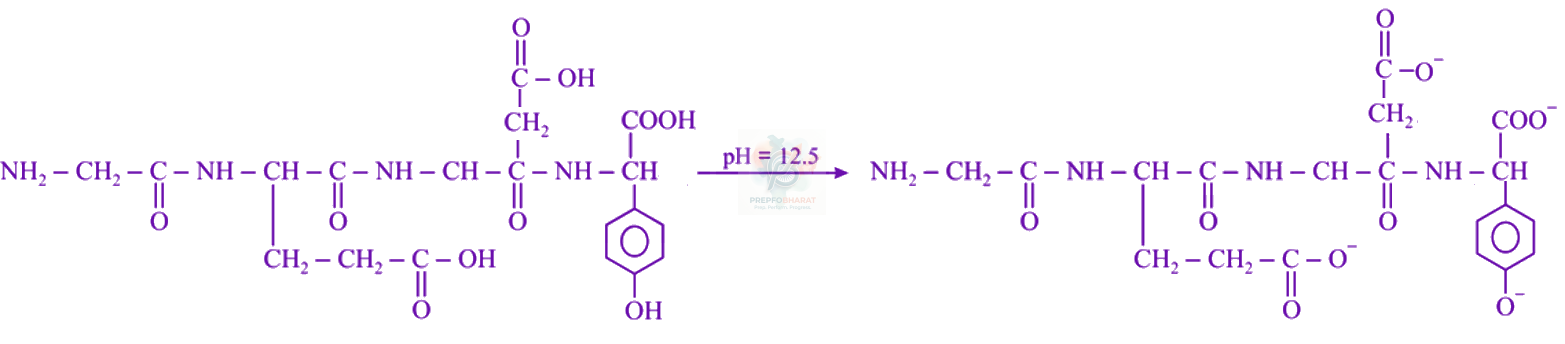 JEE Main 2021 Chemistry, Biomolecules — solution figure