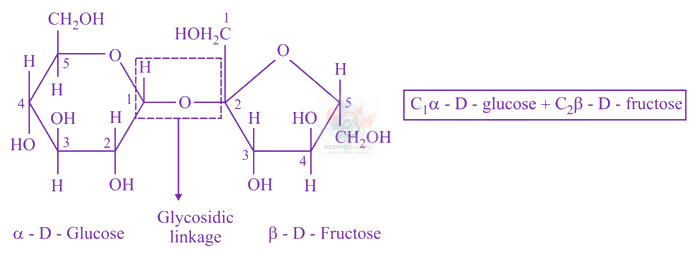 JEE Main 2021 Chemistry, Biomolecules — solution figure