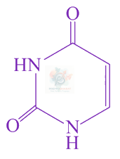 JEE Main 2021 Chemistry, Biomolecules — option A figure