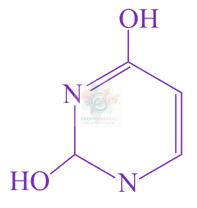 JEE Main 2021 Chemistry, Biomolecules — option B figure