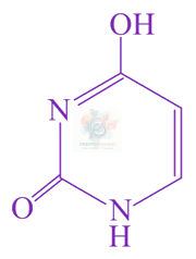 JEE Main 2021 Chemistry, Biomolecules — option C figure
