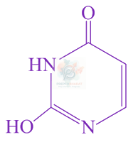 JEE Main 2021 Chemistry, Biomolecules — option D figure