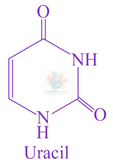JEE Main 2021 Chemistry, Biomolecules — solution figure