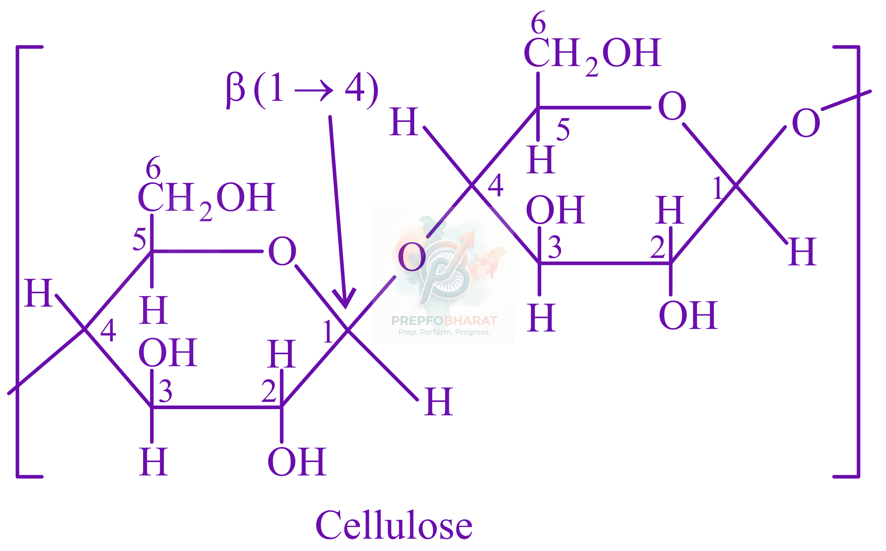 JEE Main 2022 Chemistry, Biomolecules — solution figure 1