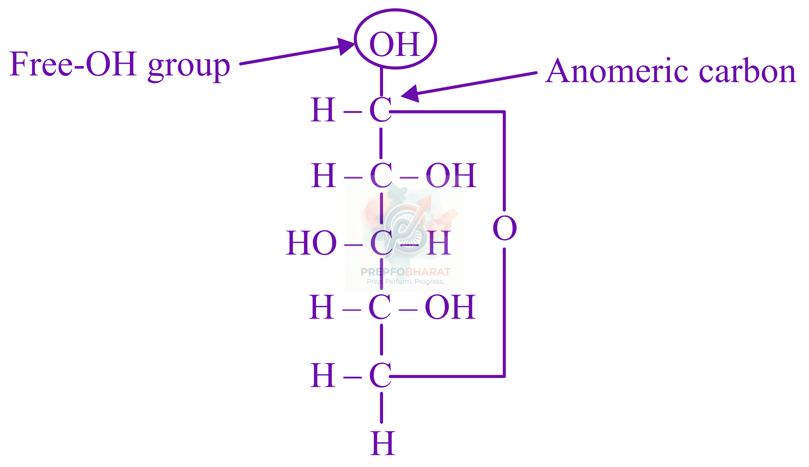 JEE Main 2022 Chemistry, Biomolecules — solution figure