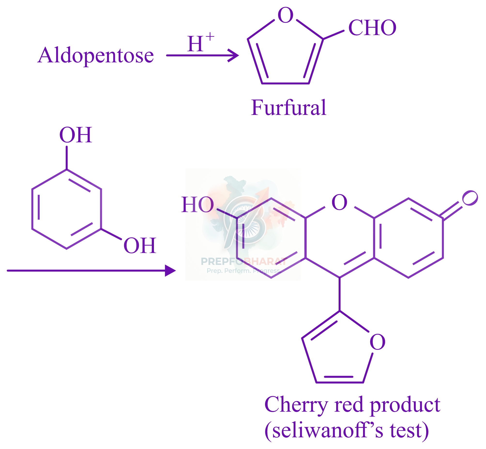 JEE Main 2022 Chemistry, Biomolecules — solution figure