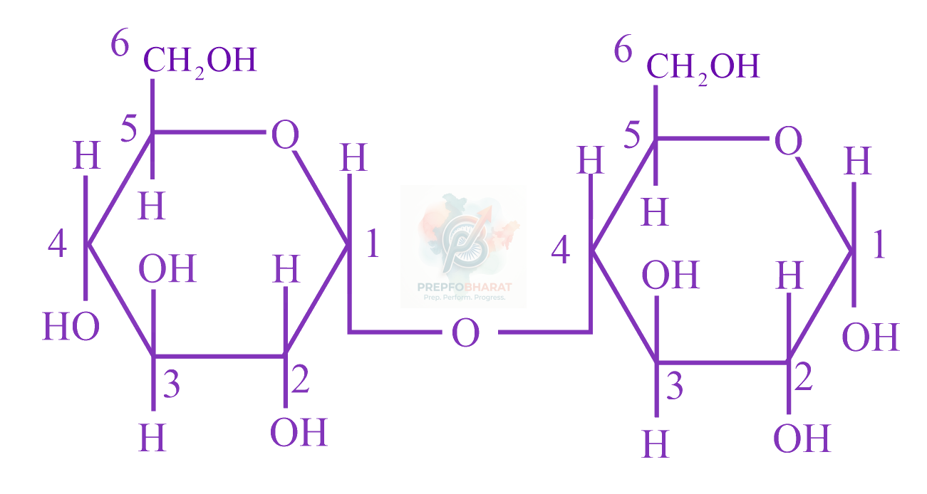 JEE Main 2022 Chemistry, Biomolecules — solution figure
