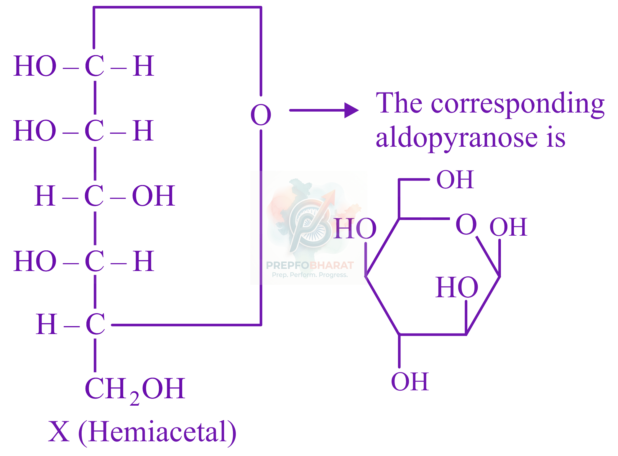 JEE Main 2022 Chemistry, Biomolecules — solution figure
